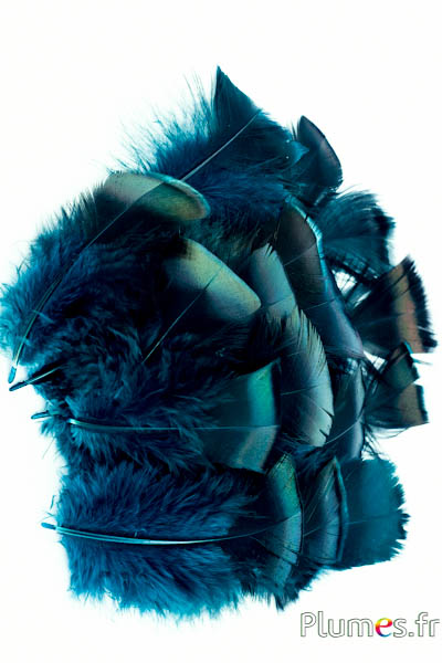 Turkije - 5-15 cm - petrol